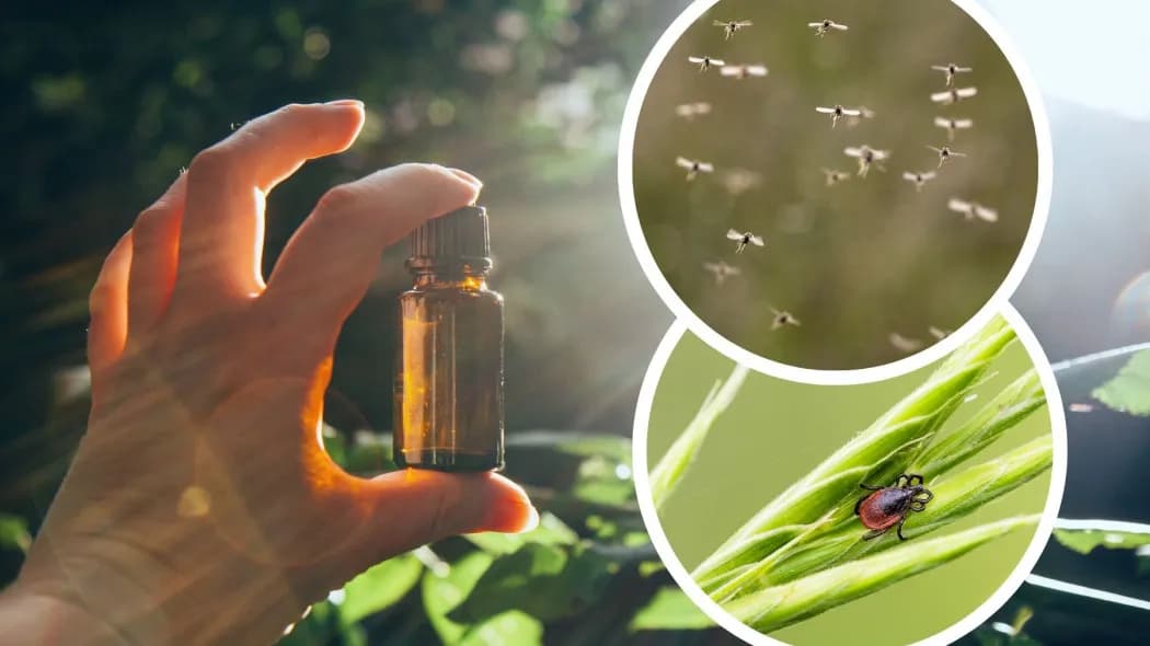 Czy perfumy odstraszają komary? Odkryj skuteczne zapachy, które pomagają