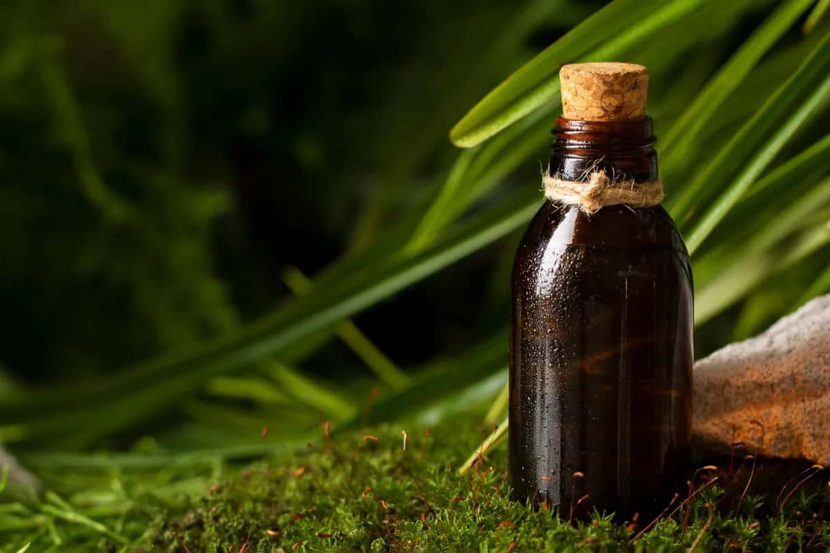 Perfumy szyprowe dla kogo? Odkryj, czy to zapach dla Ciebie